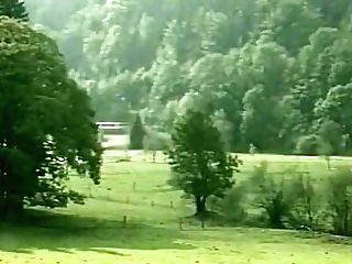 Heidi Two - 1992 - Im Wald Und Auf Der Heidi - Karin Von Kroft